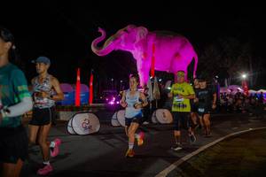 BIB: 
                            <button type="button" onclick="openModal(26552131)" class="btn btn-primary btn-sm float-right btn-popup" data-toggle="modal" data-target=".modal-high-quality">
                        <i class="fas fa-shopping-cart"></i> Add to Cart
                    </button>
                                            <button type="button" onclick="isThisMe(26552131, true)" class="btn btn-success btn-sm float-right btn-popup btn-isme hidden" data-toggle="tooltip" data-placement="bottom" title="นี่คือรูปของคุณใช่ไหม คลิกที่นี่เพื่อเอาเข้าอัลบั้ม">
                        <i class="fas fa-plus"></i> Add to album
                    </button>
                    <button type="button" onclick="isThisMe(26552131, false)" class="btn btn-warning btn-sm float-right btn-popup btn-isnotme hidden">
                        <i class="fas fa-ban"></i> Remove from album
                    </button>